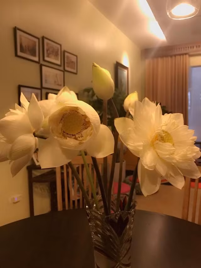 Chiem nguong ngoi nha 