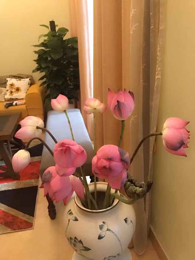 Chiem nguong ngoi nha 