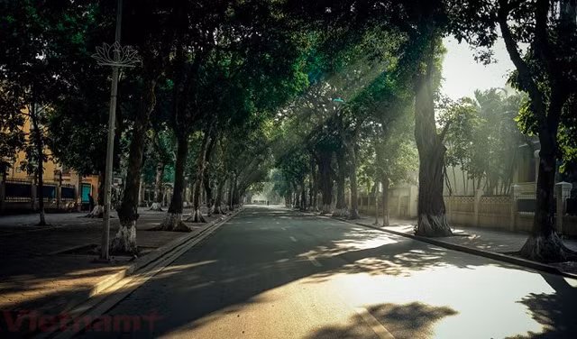 Nhung can biet thu moc meo co gia hang chuc ty dong o Ha Noi