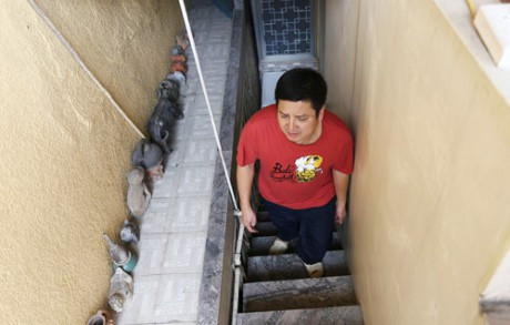 Cầu thang nhỏ đi lên căn tập thể của Chí Trung. Cầu thang nhỏ đi lên căn tập thể của Chí Trung.