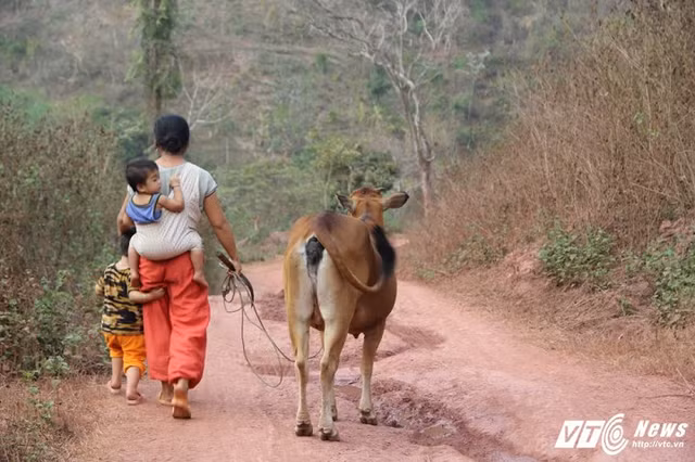 Cuoc song nhoc nhan cua nhung "co dau 8 tuoi" o mien Tay xu Nghe