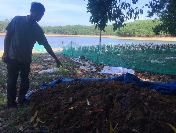 Nông dân Nguyễn Chín bất an trước việc đàn vịt chết hàng loạt và mong tìm ra thủ phạm. Nông dân Nguyễn Chín bất an trước việc đàn vịt chết hàng loạt và mong tìm ra thủ phạm.