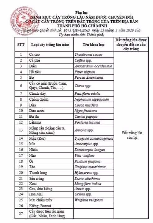 hinh-nen-hoa-4-1-1410.jpg