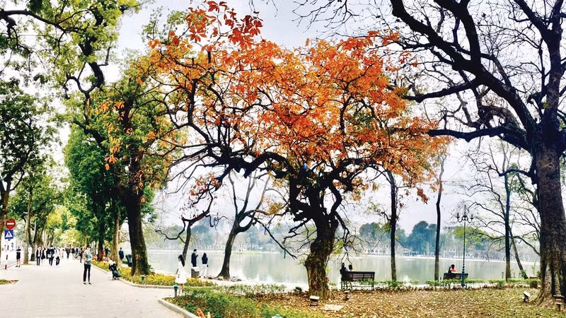 Thời tiết ngày 6/9: Bắc Bộ mát dịu, miền Trung, Nam Bộ cảnh báo mưa lớn