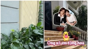 Vườn biệt thự của Việt Hương rực rỡ sắc hoa và trái cây sum suê