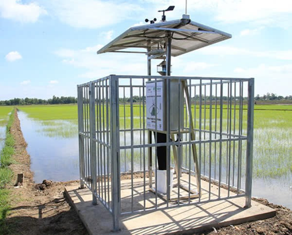 Ảnh: Hệ thống giám sát côn trùng thông minh (Nguồn: RYNAN Technologies) z6623454248998-eaa924ade8c9c48a4f90880a4c32f225.jpg