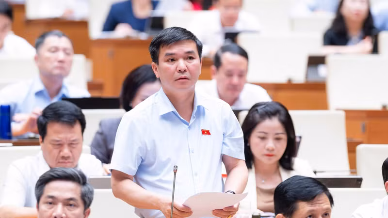 Làm rõ căn cứ xác định mức bồi thường thiệt hại của người bị thiệt hại