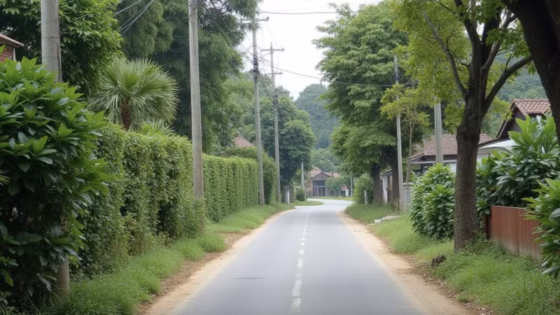 Xã Phúc Thịnh, Thư Lâm thí điểm xã, phường xã hội chủ nghĩa