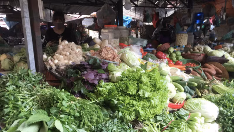 Hà Nội chất vấn về rau vừa phun thuốc đã thu hoạch