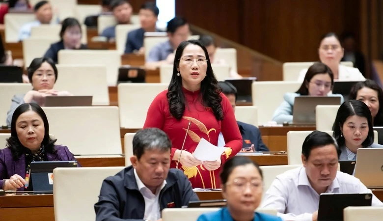 ĐBQH lo lắng về tội phạm công nghệ cao và lừa đảo trên mạng