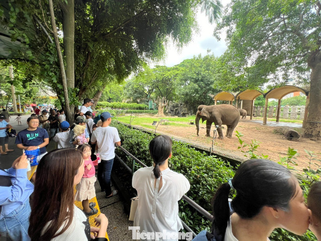 Vườn thú 160 năm tuổi này là điểm tham quan quen thuộc của người dân TPHCM.