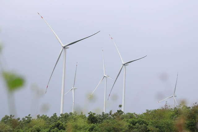 Các dự án điện gió tại Lâm Đồng đã và đang góp phần khai thác tiềm năng, thế mạnh về năng lượng tái tạo