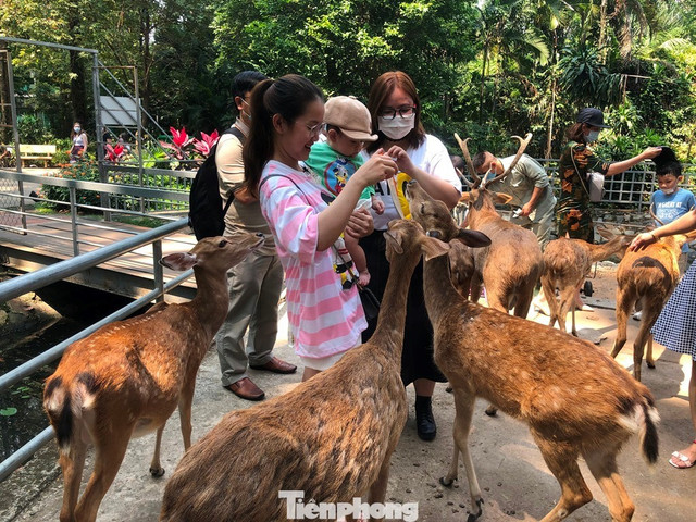 Trung bình mỗi ngày, Thảo Cầm Viên Sài Gòn đón hơn 5.500 lượt khách