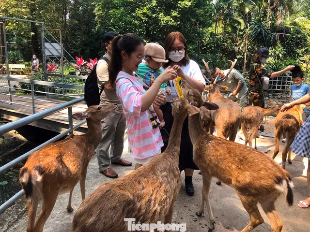 Trung bình mỗi ngày, Thảo Cầm Viên Sài Gòn đón hơn 5.500 lượt khách