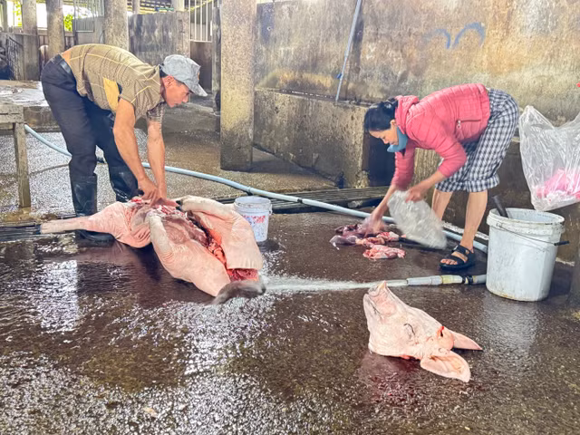 Phần lớn thịt lợn bán ra thị trường không được thú y kiểm soát.