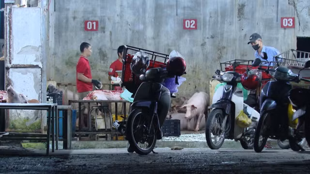 Cơ sở giết mổ của bà Nguyễn Thị Thanh Huyền luôn vượt công suất.