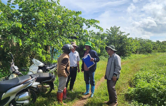 Các đơn vị, địa phương phối hợp tập trung tháo gỡ các điểm nghẽn về pháp lý và tranh chấp đất đai tại các dự án cao tốc
