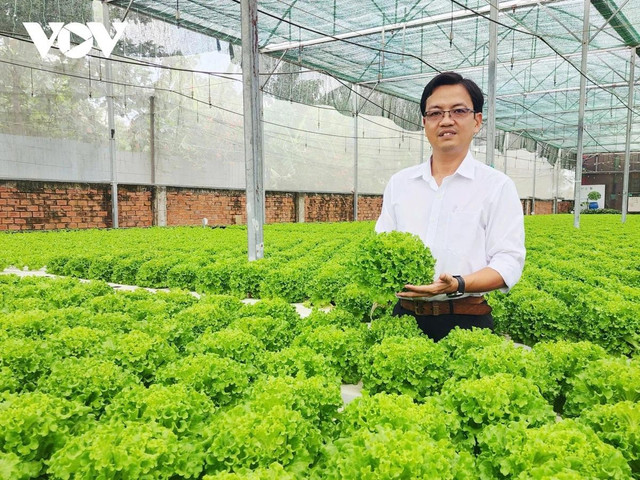 Anh Lâm Ngọc Tuấn, Giám đốc HTX Nông nghiệp Tuấn Ngọc.