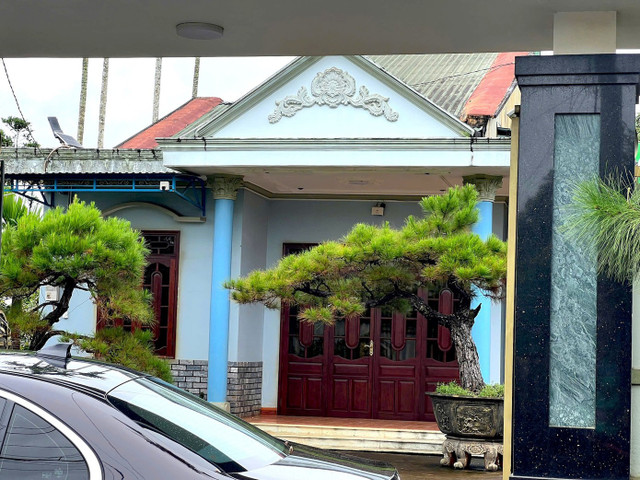 Bên trong căn nhà là những cây cảnh giá trị. Bên trong căn nhà là những cây cảnh giá trị.