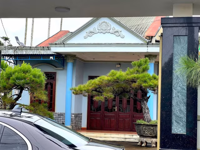 Bên trong căn nhà là những cây cảnh giá trị.
