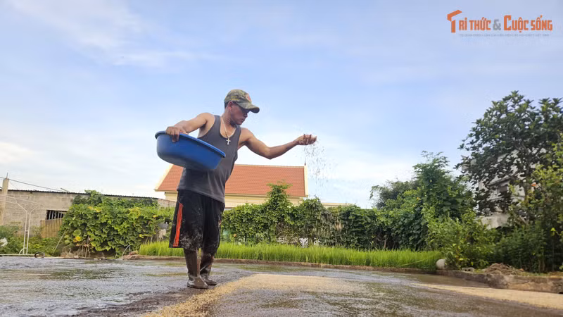 Hành trình gieo trồng của người nông dân trong mùa hè oi ả tại Giao Minh