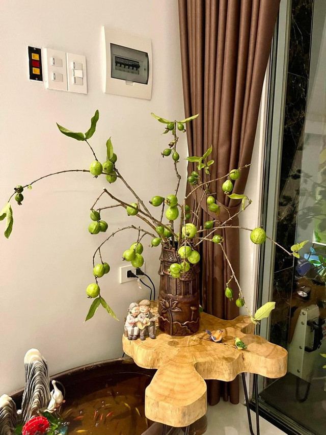 Bất ngờ với 5 cành quả lạ tạo trend chợ mạng năm 2023 - Hình 6 Bat ngo voi 5 canh qua la tao trend cho mang nam 2023-Hinh-6