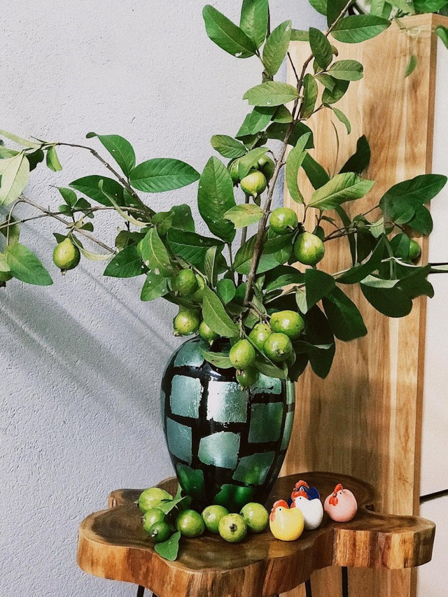 Bất ngờ với 5 cành quả lạ tạo trend chợ mạng năm 2023 - Hình 5 Bat ngo voi 5 canh qua la tao trend cho mang nam 2023-Hinh-5