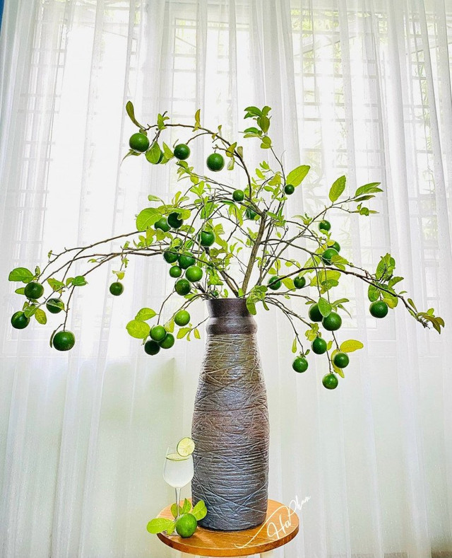 Bất ngờ với 5 cành quả lạ tạo trend chợ mạng năm 2023 - Hình 8 Bat ngo voi 5 canh qua la tao trend cho mang nam 2023-Hinh-8