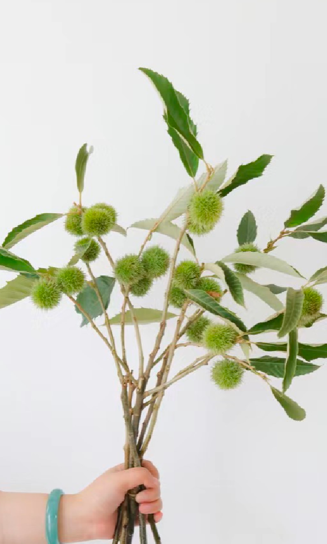 Bất ngờ với 5 cành quả lạ tạo trend chợ mạng năm 2023 - Hình 10 Bat ngo voi 5 canh qua la tao trend cho mang nam 2023-Hinh-10