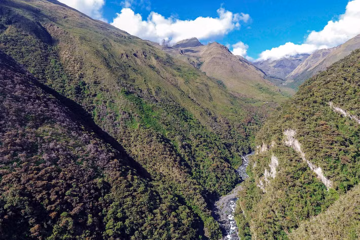 Được thành lập vào năm 1995, Vườn quốc gia Madidi, Bolivia - nơi đa dạng sinh học nhất Trái đất trải dài trên độ cao từ 182m đến 6.000m so với mực nước biển và rộng khoảng 18.130km2. Đây là vùng tiếp giáp giữa đồng bằng Amazon và dải Andes - 2 địa danh nổi nhất tiếng Nam Mỹ. Theo The New York Times, vị trí địa lý đặc biệt cùng cao độ thay đổi rõ rệt làm cho hệ sinh thái ở Madidi đa dạng với đủ loại từ rừng sương mù, rừng thấp đến sông, suối, đầm lầy, và thậm chí cả những lớp băng vĩnh cửu.