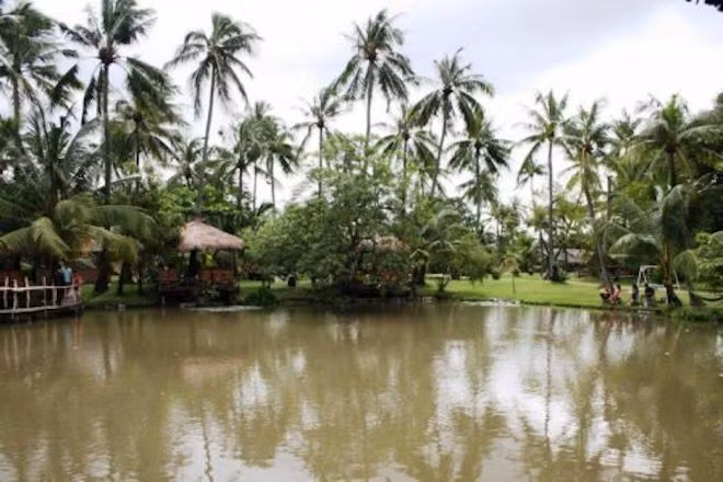 Nằm bên dòng sông Sài Gòn nên khu Thanh Đa - Bình Quới có không gian sông nước khá thoáng đãng, hữu tình. Chính vì vậy, nơi đây mọc lên khá nhiều các khu câu cá, câu tôm giải trí. Còn gì thú vị hơn khi vừa buông cần vừa thư giãn tránh sự xô bồ của cuộc sống trong những ngày Tết Dương lịch 2018. Với những con cá do chính tay bạn câu được, quán ăn sẽ chế biến thành những món hấp, chiên, lẩu,... để bạn thưởng thức tại chỗ.