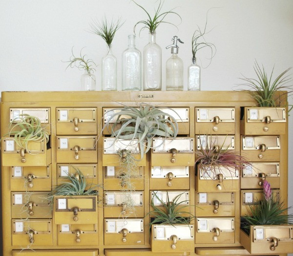 Một kệ tủ nhiều ngăn bất ngờ được tái sử dụng làm giá trồng cây một cách bá đạo bằng cách kéo ngăn trồng cây đó ra ngoài, tạo nên diện mạo cảnh quan vô cùng đặc sắc ấn tượng.