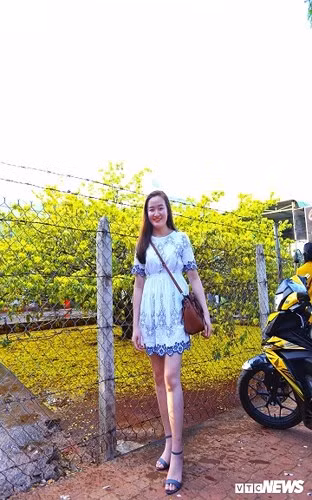 Chỉ trong khoảng sân rộng vài chục mét vuông, cây mai tỏa tán rộng hơn 5m và có chiều cao 4m khiến người xem không khỏi choáng ngợp. Cây mai không có thân và nhánh mọc ra từ gốc, hoa chen nhau nở rộ phủ kín các cành cây. Đây chính là cảnh sắc trăm hoa đua nở mà người ta vẫn thường nói đến.