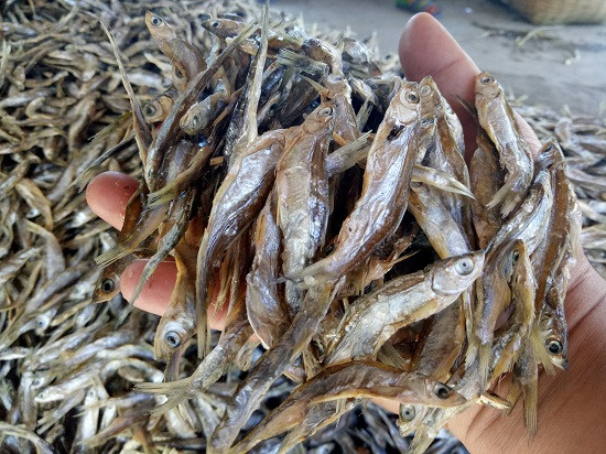 Cá tép mương khô.