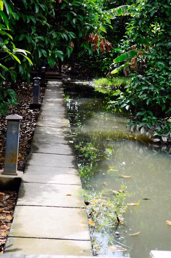 Bao quanh căn nhà là con kênh nhỏ tựa như phong cách những căn nhà miền Tây.
