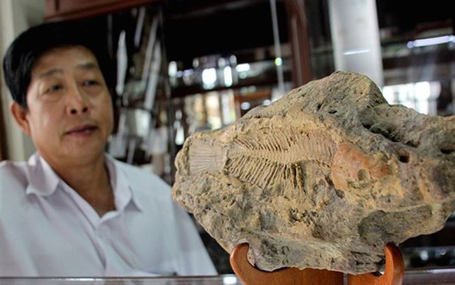 Viên đá hóa thạch trầm tích vẫn còn nguyên hình dáng xương cá có niên đại 100 - 180 triệu năm, được tìm thấy năm 2004 ở khu vực sông Sêrêpốk. Có người đã trả giá đến 1,2 tỷ. (Ảnh: Zing)