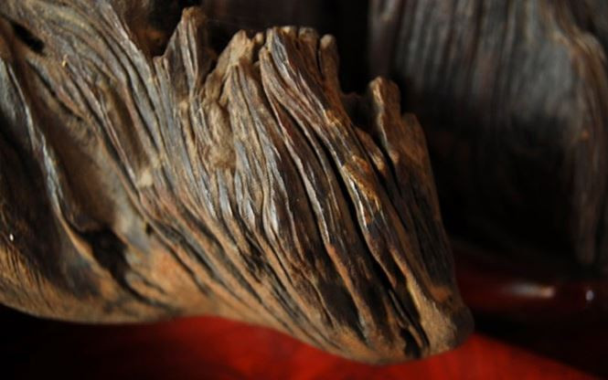 Còn đây là mẫu gỗ hoá thạch có niên đại hàng triệu năm. (Ảnh: Zing)