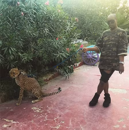 Vui đùa, chụp ảnh với một con báo đi thuê ở Dubai.