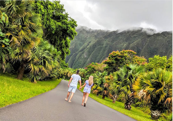 Đi chơi ở Hawaii.