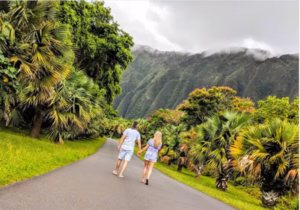 Đi chơi ở Hawaii.