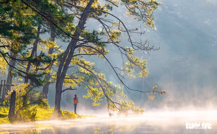 Từ cuối tháng 10 hàng năm đến tháng 3 năm sau là thời điểm đẹp nhất để đến Đà Lạt. Vùng đất này bước vào mùa khô. Với người sống lâu năm ở Đà Lạt, đây là mùa “nắng lạnh”. Nắng rất vàng nhưng rất lạnh. Đỉnh điểm của nắng lạnh là thời điểm bước từ năm cũ sang năm mới. Càng vào giữa mùa nắng lạnh, Đà Lạt càng đẹp, nhưng không gian gợi cảm xúc nhiều cho du khách có lẽ là cuối tháng 10, đầu tháng 11 khi trời giao mùa. 