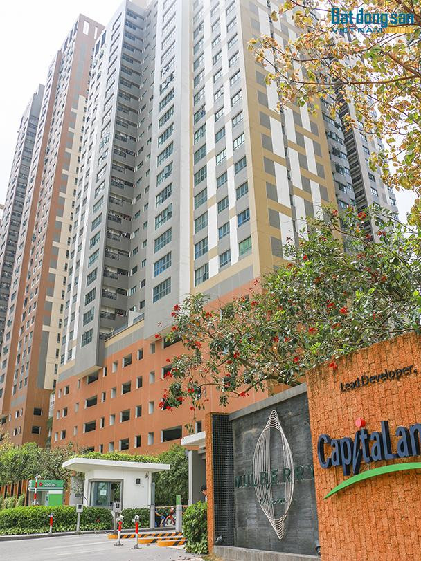 Trước đó, theo Reatimes, khoảng 21h ngày 6/5, sự cố mất nước bất ngờ xảy ra tại tòa A chung cư Mulberry Lane (Hà Đông, Hà Nội). Các tòa B, C, D, E sau đó khoảng 2 tiếng cũng điêu đứng, náo loạn vì nước sinh hoạt bị cắt đột ngột. Ảnh: Reatimes.