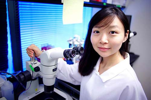 Khám phá khoa học gây sửng sốt cho nhiều người trong năm 2017 là việc trong tương lai gần, có thể ghép bộ phận cơ thể của heo lên người. Nếu thành công, 118.000 bệnh nhân đang chờ được ghép tạng ở Mỹ có thể hiện thực hóa ước mơ của mình. Các nhà nghiên cứu đang sử dụng công nghệ chỉnh sửa gen CRISPR để tạo ra những con heo không thể gây bệnh nguy hiểm đến người. Họ cũng đã thành công trong việc chỉnh sửa gen của phôi thai người.