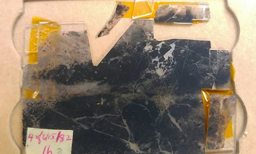 Các nhà nghiên cứu thuộc ĐH California, Los Angeles (UCLA) và đồng nghiệp từ ĐH Wisconsin Madison vừa công bố kết quả nghiên cứu về hóa thạch cổ xưa ít nhất 3,5 tỷ năm tuổi trên tạp chí Proceedings of the National Academy of Sciences của Mỹ.