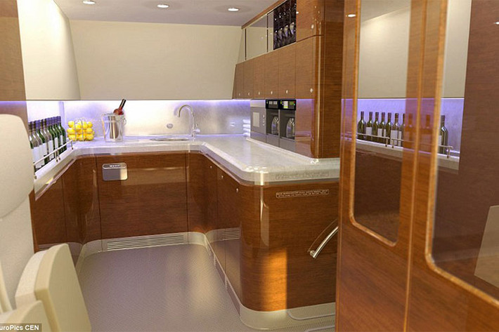 Hạm đội máy bay phục vụ Tổng thống Nga Putin có đến 68 chiếc, trong đó 64 chiếc hoạt động, 4 chiếc dự trữ. Mỗi khi tổng thống công du nước ngoài, 4 máy bay chính sẽ sẵn sàng làm nhiệm vụ di chuyền. Máy bay mà ông Putin sẽ sử dụng không được biết đến cho đến khi cất cánh.