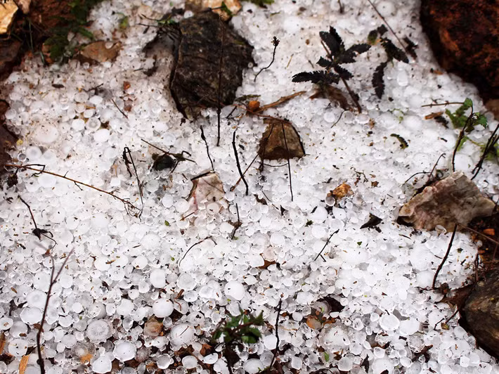 Rạng sáng 4/3, mưa đá kèm theo gió lốc xuất hiện tại hầu hết các xã, thị trấn thuộc huyện Mèo Vạc, tỉnh Hà Giang, khiến một số điểm trường, bưu điện văn hóa bị tốc mái.