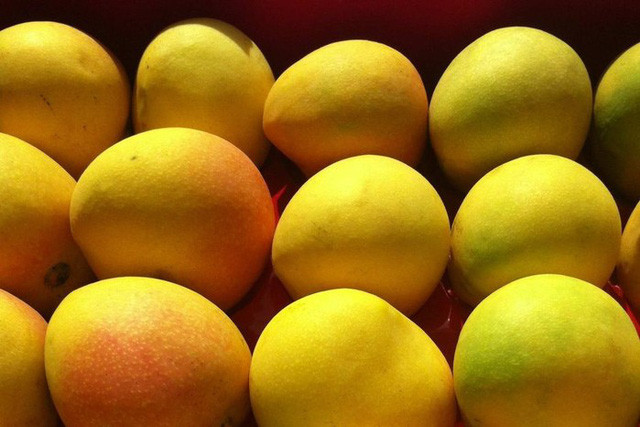 Từ năm 1970, những quả xoài Northern Territory đầu tiên được bán đấu giá tại sàn đấu giá Sydney Markets và thu hút được sự chú ý của nhiều nhà bán lẻ hoa quả cũng như các hãng bán buôn.