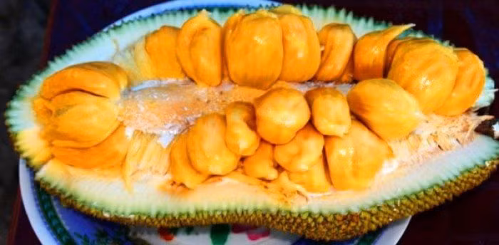 Vì thế mà ngoài tên gọi mít tố nữ ra người ta còn gọi là mít sầu riêng. Ảnh muabannhanh.