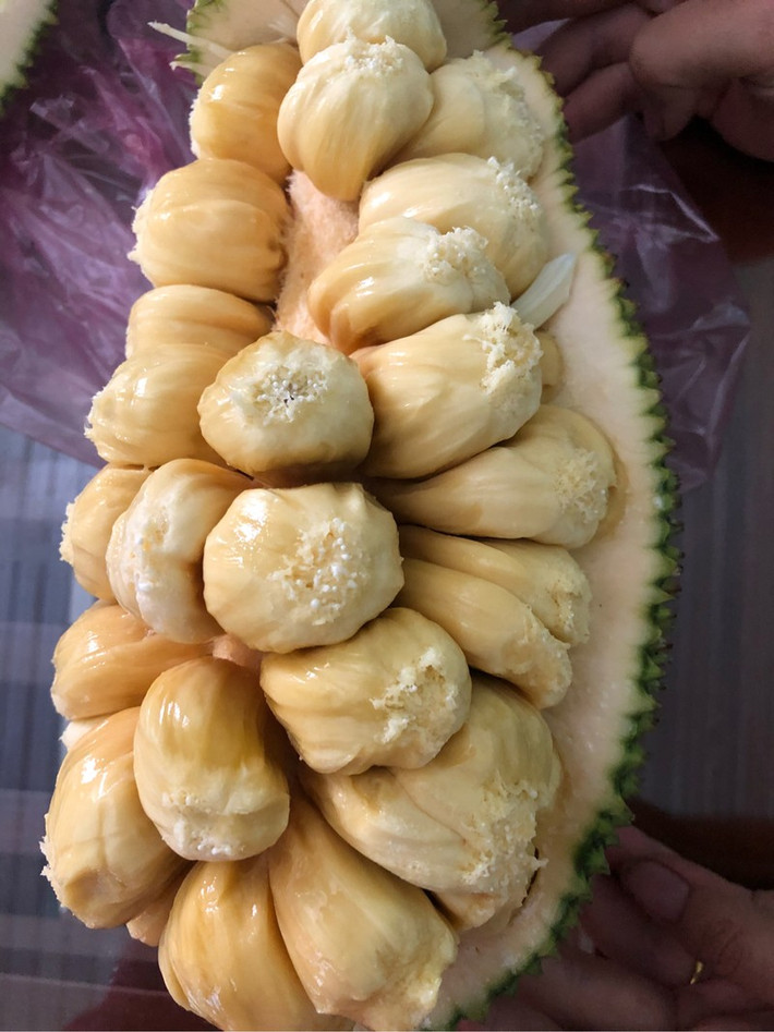 Vì quá đau buồn nàng Tố Nữ qua đời và nơi nàng trinh nữ nằm xuống mọc lên một loại trái cây lạ, quả có vị rất thơm ngon, ngọt khác thường, dân làng đem nhân giống và đặt tên là mít tố nữ. Ảnh thitruongsi.