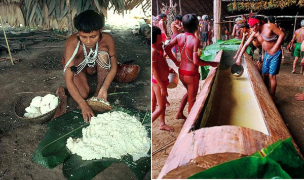 7. Ăn tro cốt của người chết tại Brazil và Venezuela Yanomami là một trong những bộ tộc sống cô lập ở Nam Mỹ. Họ sống trong các rừng nhiệt đới ở vùng núi phía Bắc Brazil và miền Nam Venezuela. Khi một người của bộ lạc Yanomami chết, họ sẽ được hỏa thiêu. Bột tro của người chết được đựng trong những quả bầu khô và được cất giữ ở nơi trang trọng trong nhà. Chừng một năm sau, người Yanomami sẽ đem tro cốt người chết ra chế biến thành thức ăn. Tro cốt được chế biến hoặc làm gia vị cho nhiều món, trong đó có món chính là súp chuối. Họ tin rằng, nếu như thân xác người chết hòa với thân xác người sống, linh hồn của người khuất sẽ như được tiếp thêm sức mạnh, không thấy mệt mỏi khi trải qua kiếp nạn trên đường tới thế giới bên kia. Và hơn hết, người sống có thể giữ người họ yêu quý bên mình mãi mãi.